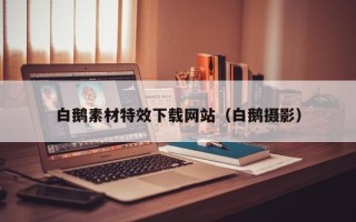 玉田白鹅素材特效下载网站（白鹅摄影）
